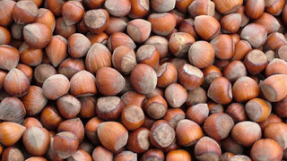 Fındık fiyatı düştü; İşte son durum