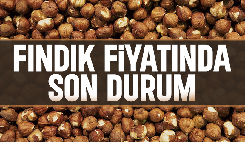 Fındık fiyatı haftaya nasıl başladı? İşte son durum