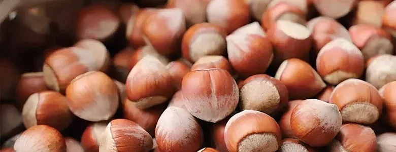 Fındık fiyatı ne kadar oldu?