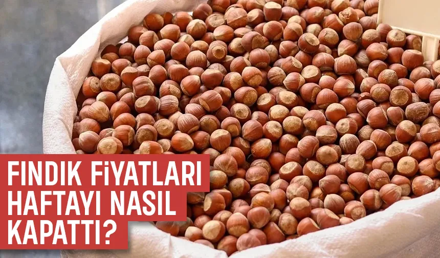 Fındık fiyatı ne kadar oldu?