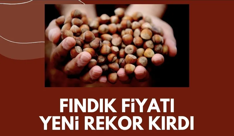 Fındık fiyatı rekor üstüne rekor kırıyor; İşte son durum