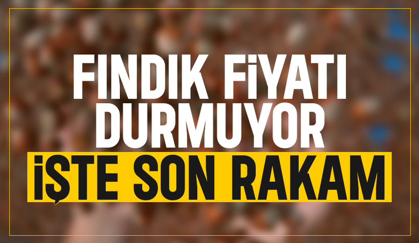 Fındık fiyatı rekora doymuyor