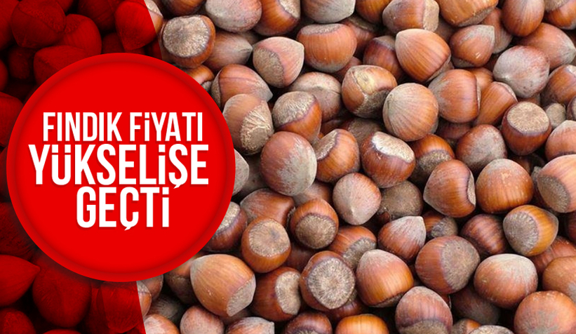 Fındık fiyatı yükselişe geçti; işte son durum