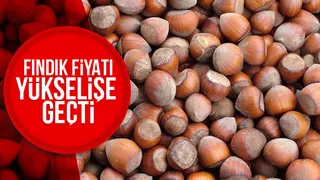 Fındık fiyatı yükselişe geçti; işte son durum