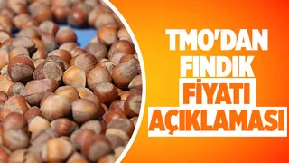 Fındık fiyatında güncelleme isteniyordu: TMO'dan açıklama geldi