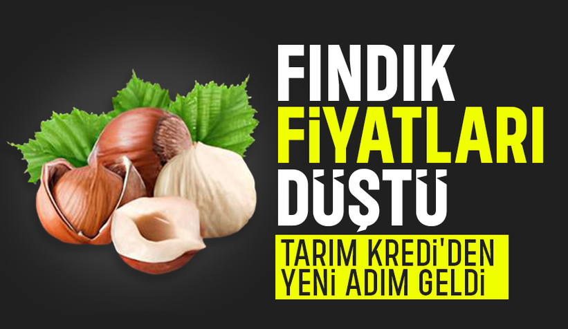 Fındık fiyatında şok düşüş; Tarım kredi fiyatı yükseltti!