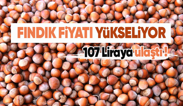 Fındık fiyatında son durum: 107 lira