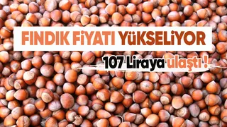 Fındık fiyatında son durum: 107 lira