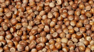 Fındık fiyatında son durum