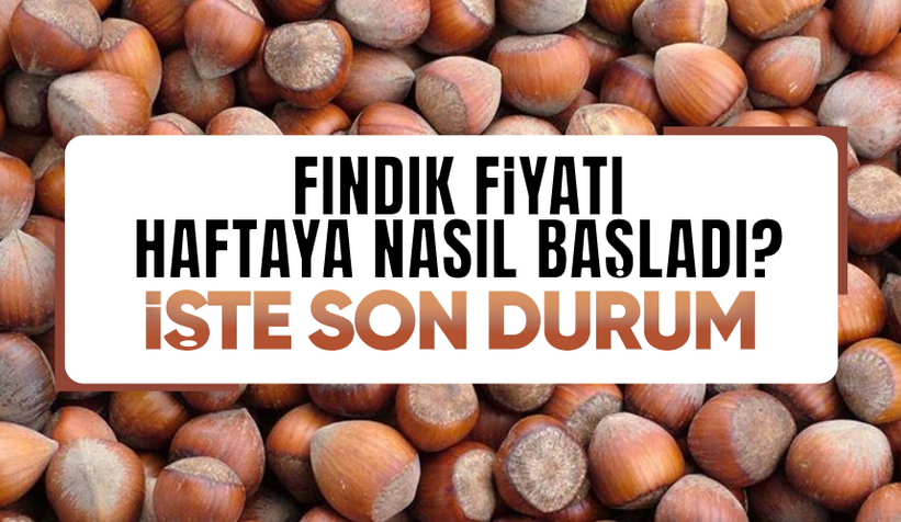 Fındık fiyatında son durum