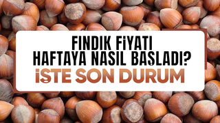 Fındık fiyatında son durum