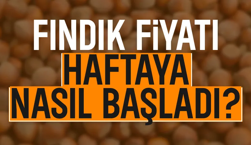 Fındık fiyatında son durum