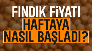 Fındık fiyatında son durum