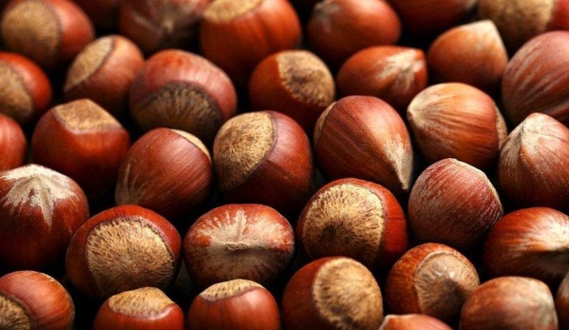 Fındık fiyatları 2021’e de aynı fiyatla girdi