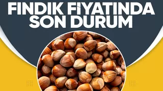 Fındık fiyatları belli oldu