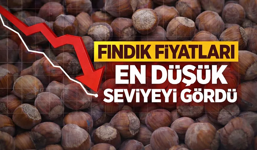 Fındık fiyatları dibi gördü