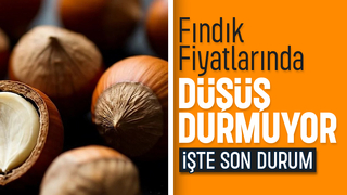 Fındık fiyatları düşüyor; O fiyatı gördü