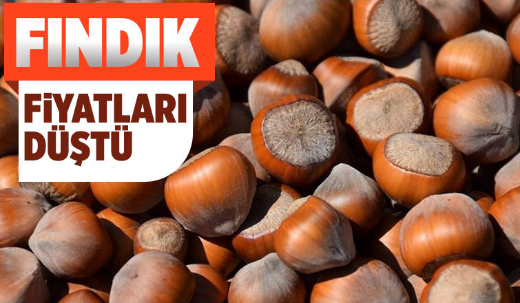 Fındık fiyatları geriliyor