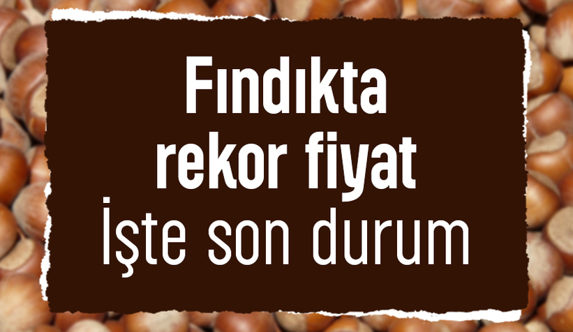 Fındık fiyatları rekor kırıyor: Serbest piyasada yükseliş sürüyor