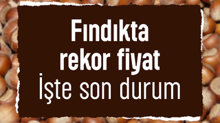 Fındık fiyatları rekor kırıyor: Serbest piyasada yükseliş sürüyor