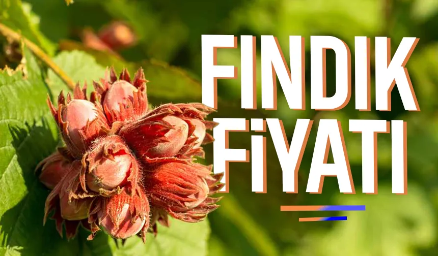 Fındık fiyatlarında durgunluk