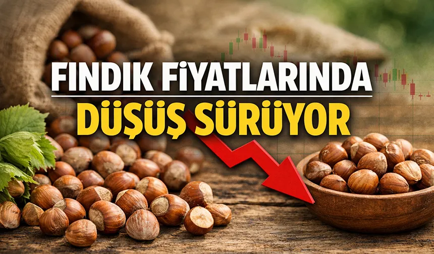 Fındık fiyatlarında düşüş devam ediyor