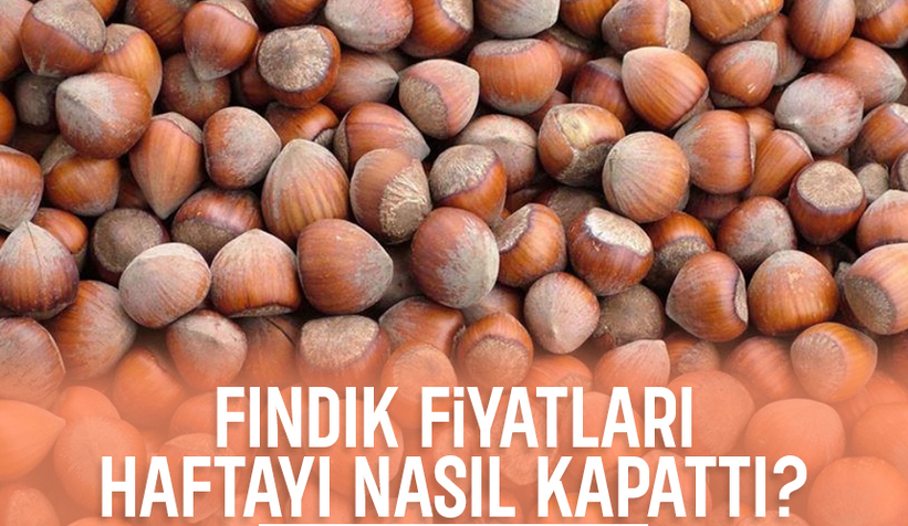 Fındık fiyatlarında son durum; Haftayı bu fiyattan kapattı