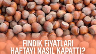 Fındık fiyatlarında son durum; Haftayı bu fiyattan kapattı