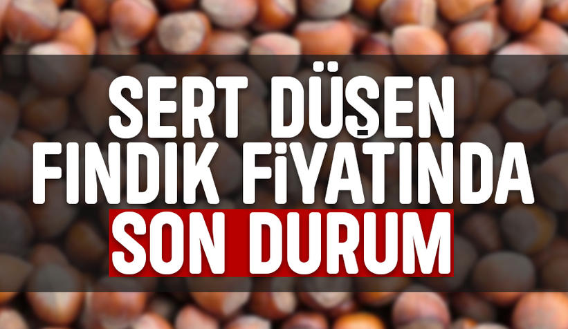 Fındık fiyatlarında son durum
