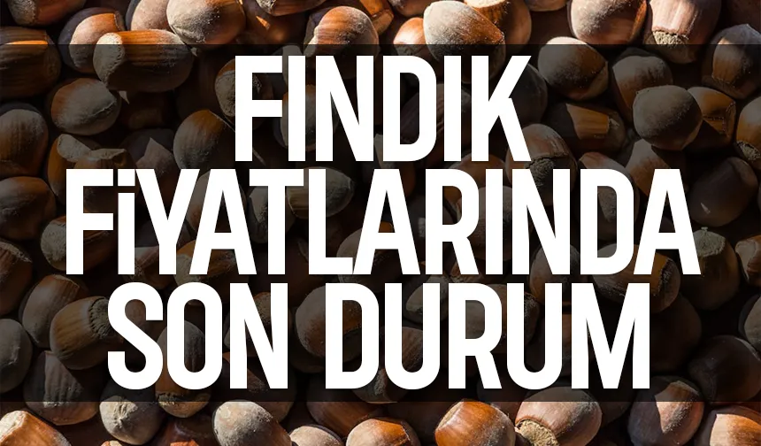 Fındık fiyatlarında yatay seyir