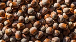 Fındık fiyatlarında yatay seyir