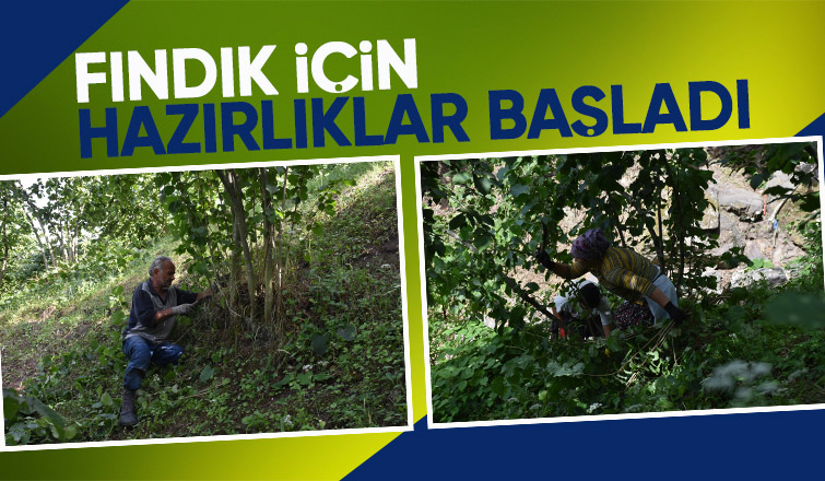 Fındık hasadı öncesi bahçe temizliği başladı