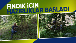Fındık hasadı öncesi bahçe temizliği başladı