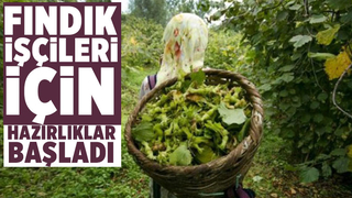 Fındık işçileri için alınacak tedbirler belirlendi