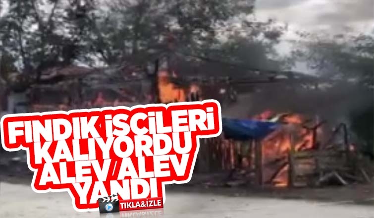 Fındık işçilerinin kaldığı baraka kül oldu