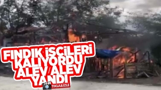 Fındık işçilerinin kaldığı baraka kül oldu