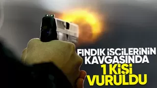 Fındık işçilerinin kavgasında 1 kişi vuruldu