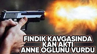 Fındık kavgasında anne oğlunu silahla vurdu