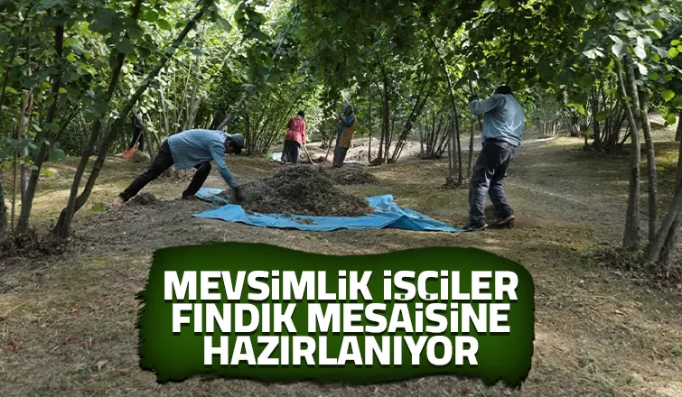 Fındık mesaisine hazırlanıyorlar