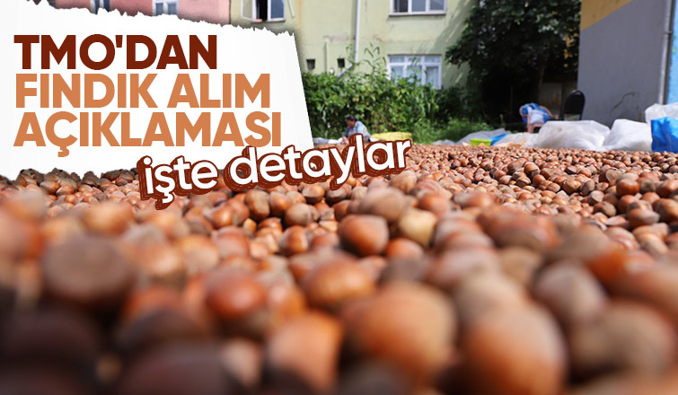 Fındık satacaklar dikkat TMO alımla ilgili açıklama yaptı