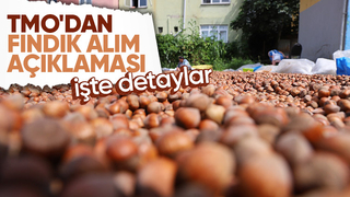 Fındık satacaklar dikkat TMO alımla ilgili açıklama yaptı