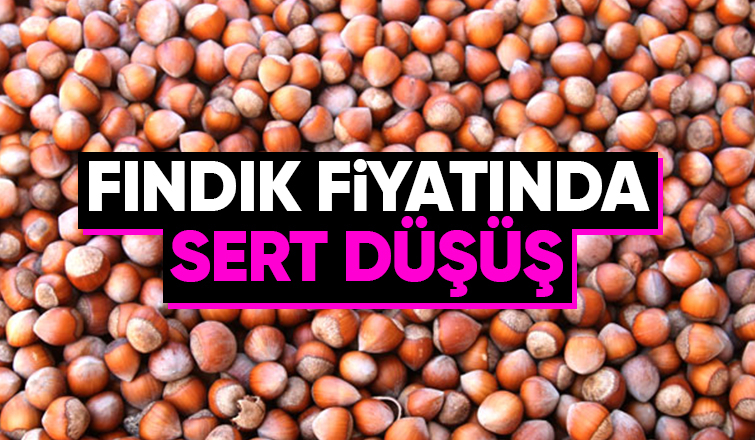 Fındık sert düştü; Üreticide hayal kırıklığı