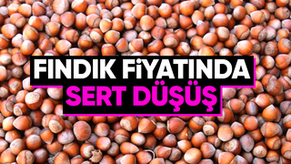 Fındık sert düştü; Üreticide hayal kırıklığı