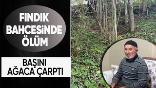 Fındık toplamaya gittiği bahçede hayatını kaybetti