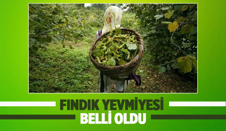 Fındık yevmiyeleri açıklandı