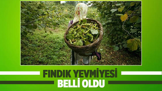 Fındık yevmiyeleri açıklandı
