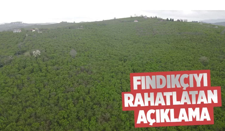 Fındıkçı için iyi haber