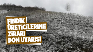 Fındıkçıya don uyarısı