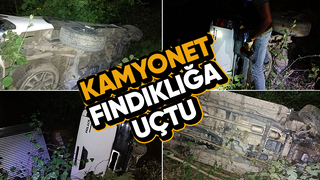 Fındıklığa uçan kamyonetin sürücüsü yaralandı