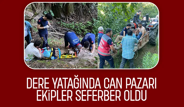 Fındıklıkta dere yatağına yuvarlandı, ekipler seferber oldu